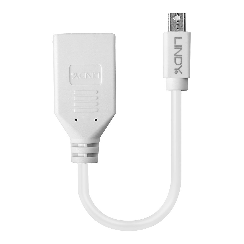 LINDY 41021 | 20CM MINI DISPLAYPORT MALE TO DISPLAYPORT FEMALE ADAPTER CABLE - Image 2