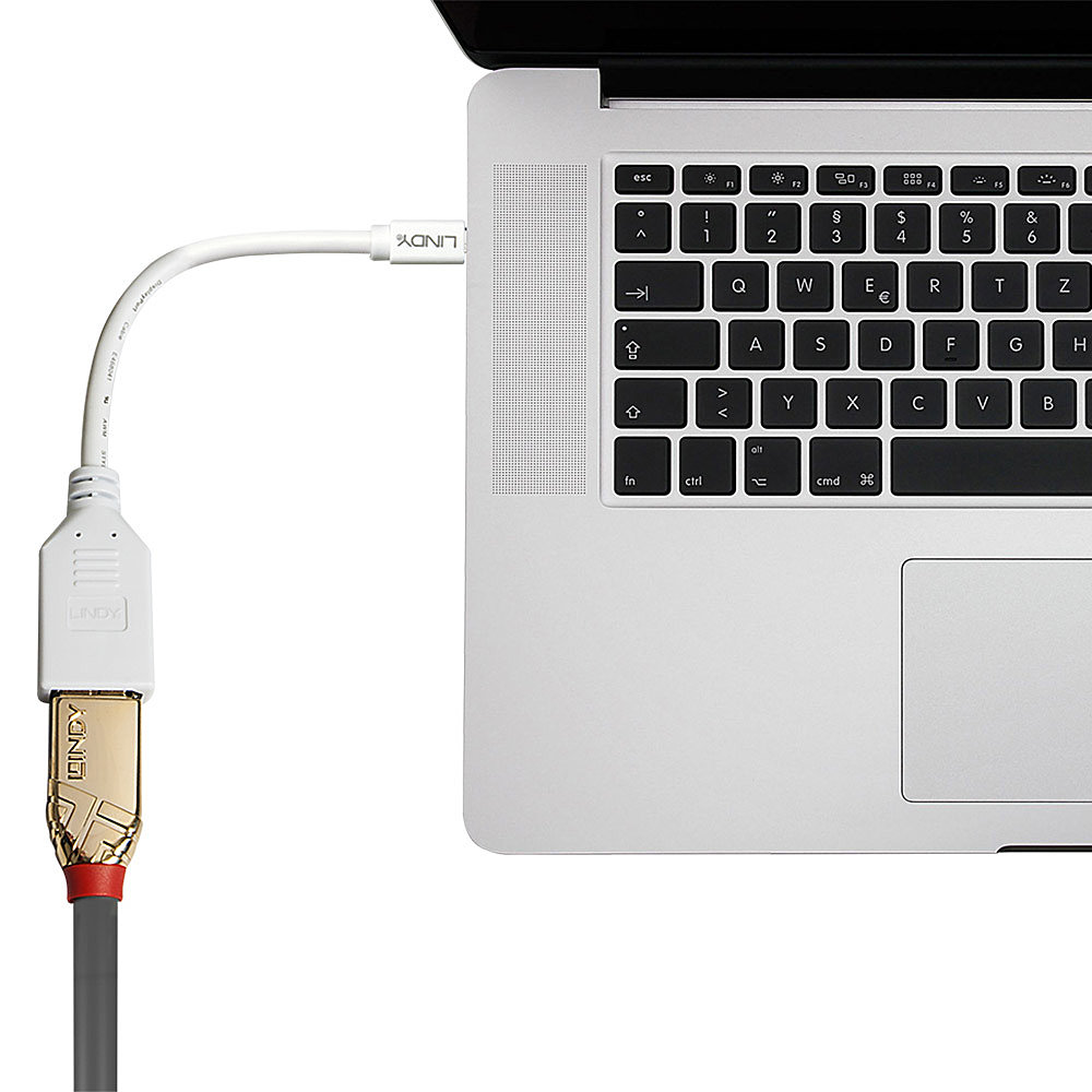 LINDY 41021 | 20CM MINI DISPLAYPORT MALE TO DISPLAYPORT FEMALE ADAPTER CABLE - Image 3