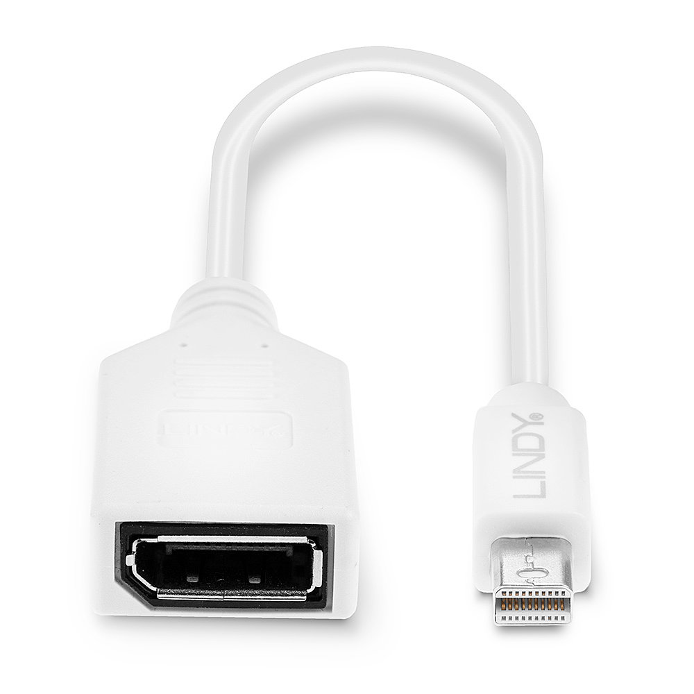 LINDY 41021 | 20CM MINI DISPLAYPORT MALE TO DISPLAYPORT FEMALE ADAPTER CABLE - Image 4